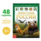 Детская энциклопедия в твёрдом переплёте «Животные России», 48 стр. - Фото 1