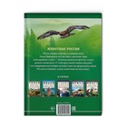 Энциклопедия детская в твёрдом переплёте «Животные России», 48 стр. - Фото 7
