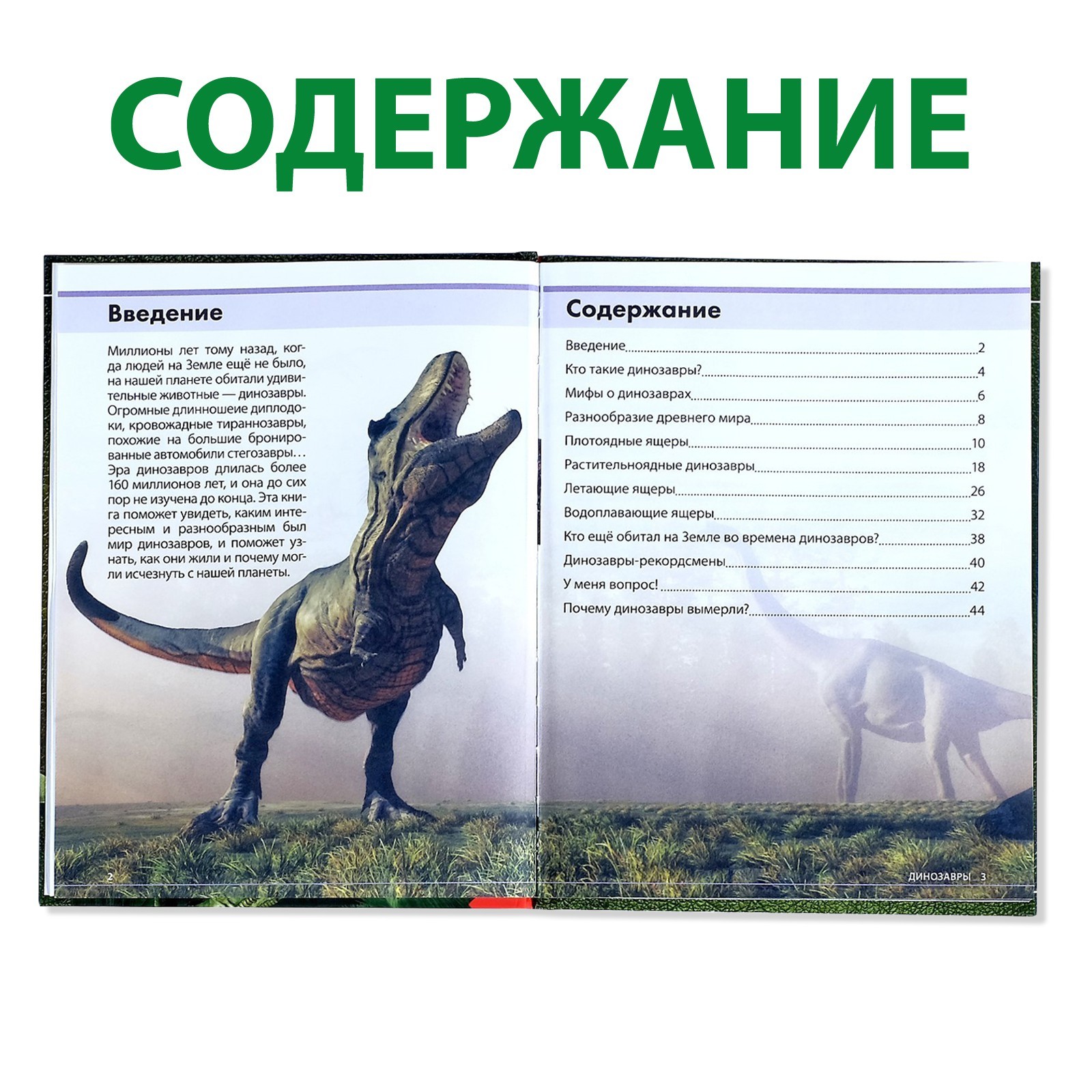 Детская энциклопедия в твёрдом переплёте «Удивительные динозавры», 48 стр.  (4170822) - Купить по цене от 125.00 руб. | Интернет магазин SIMA-LAND.RU