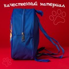 Рюкзак детский, 23х21х10 см, Щенячий патруль - Фото 6
