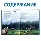 Энциклопедия детская в твёрдом переплёте «Животные», 48 стр. - Фото 2