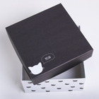 Набор коробок 10 в 1, упаковка подарочная, «Универсальный», 10.2 х 10.2 х 6–28.2 х 28.2 х 15 см - Фото 7
