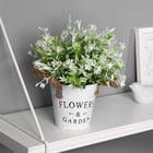 Колокольчики