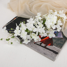 Цветы искусственные "Кассия" 5х100 см, белый - Фото 1