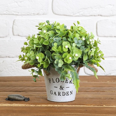 Бонсай в горшке "Садовый рай" ягодки 11*20 см микс