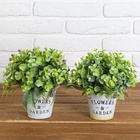 Бонсай в горшке "Садовый рай" ягодки 11*20 см микс - Фото 5