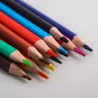 Цветные карандаши в тубусе, 12 цветов, трехгранные, Смешарики - Фото 2