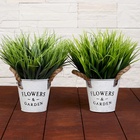 Искусственный цветок в горшке «Садовый рай», осока, 11×22 см, МИКС - фото 57927890