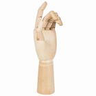 Деревянная фигура «Анатомические детали: Рука левая мужская», высота 30 см, BRAUBERG - фото 110056935