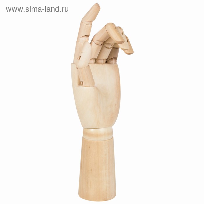 Деревянная фигура «Анатомические детали: Рука левая мужская», высота 30 см, BRAUBERG - Фото 1