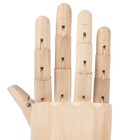 Деревянная фигура «Анатомические детали: Рука левая мужская», высота 30 см, BRAUBERG - Фото 14