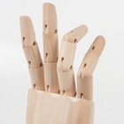 Деревянная фигура «Анатомические детали: Рука левая мужская», высота 30 см, BRAUBERG - Фото 4