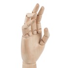 Деревянная фигура «Анатомические детали: Рука левая мужская», высота 30 см, BRAUBERG - Фото 5