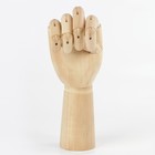 Деревянная фигура «Анатомические детали: Рука левая мужская», высота 30 см, BRAUBERG - Фото 9