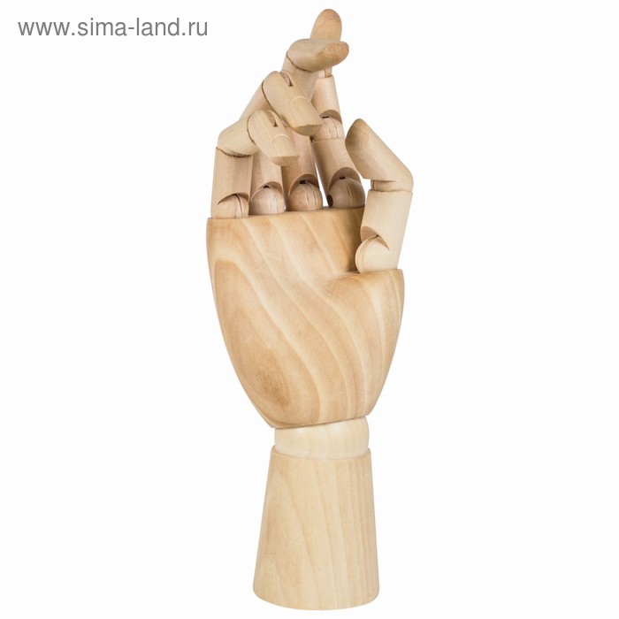 Деревянная фигура «Анатомические детали: Рука правая женская», высота 25 см, BRAUBERG - Фото 1