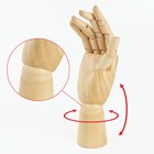 Деревянная фигура «Анатомические детали: Рука правая женская», высота 25 см, BRAUBERG - Фото 4
