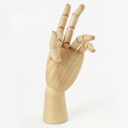 Деревянная фигура «Анатомические детали: Рука левая женская», высота 25 см, BRAUBERG - Фото 2