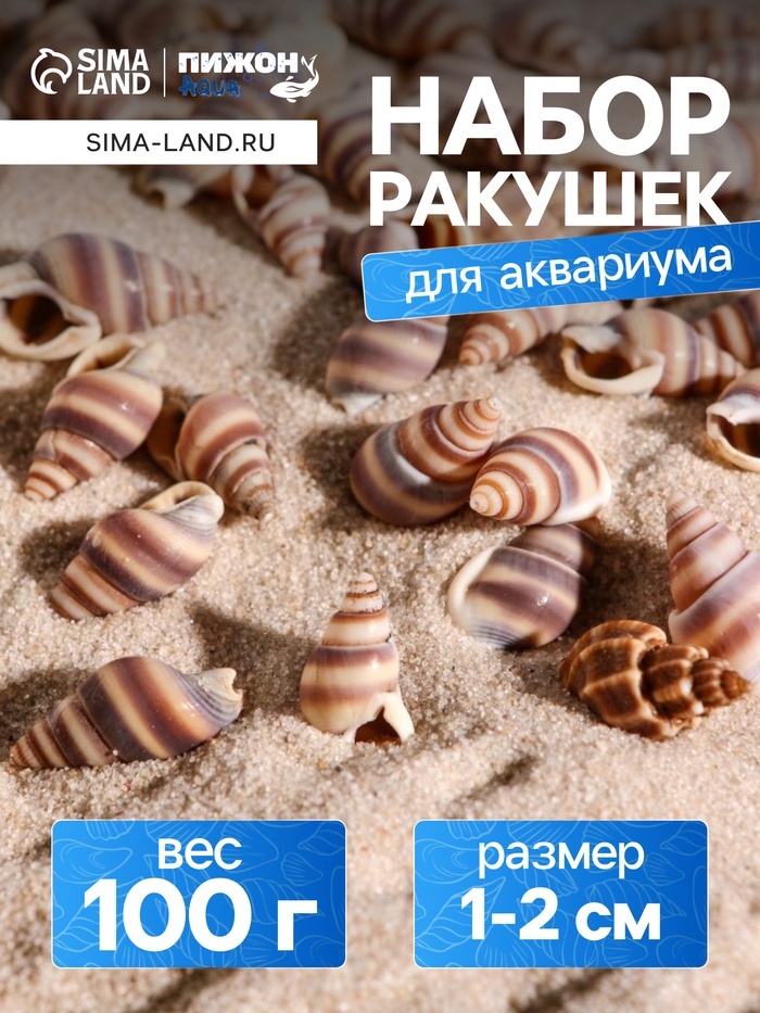 Набор ракушек, 1 - 2 см, 100 г - Фото 1