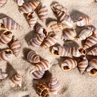 Набор ракушек, 1 - 2 см, 100 г - Фото 5