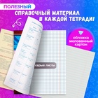 Комплект предметных тетрадей 48 листов «Металл», 10 предметов, со справочным материалом, обложка мелованный картон, блок №2, белизна 75% (серые листы) 3941446 - фото 1013366