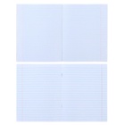 Набор предметных тетрадей Calligrata «Металл», 10 предметов, 48 листов, со справочным материалом, обложка из мелованного картона - Фото 12