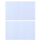 Набор предметных тетрадей Calligrata «Металл», 10 предметов, 48 листов, со справочным материалом, обложка из мелованного картона - Фото 11