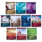 Набор предметных тетрадей Calligrata «Металл», 10 предметов, 48 листов, со справочным материалом, обложка из мелованного картона - Фото 11