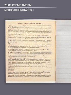 Тетрадь предметная 48 листов в линейку Calligrata, «Металл.Литература», обложка мелованный картон, серые листы (комплект 6 шт)