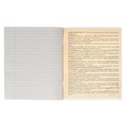 Тетрадь предметная "Металл", 48 листов в линейку "Литература" со справочным материалом, обложка мелованный картон, блок №2, белизна 75% (серые листы) - Фото 4