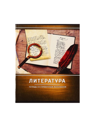 Предметная тетрадь по литературе Calligrata «Металл», 48 листов, в линейку, со справочным материалом, обложка из мелованного картона