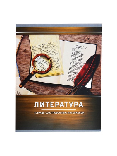 Предметная тетрадь по литературе Calligrata «Металл», 48 листов, в линейку, со справочным материалом, обложка из мелованного картона
