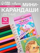 Карандаши Calligrata «Принцесса», цветные, 12 цветов, деревянные, шестигранные, мини - Фото 1