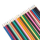 Карандаши Calligrata «Принцесса», цветные, 24 цвета - Фото 3