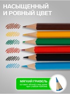 Карандаши Calligrata, цветные, 6 цветов, шестигранные - Фото 3