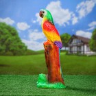 Садовая фигура "Попугай высокий" - Фото 2