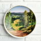 Тарелка декоративная «Летний лес», настенная, D = 19,5 см - фото 9557787