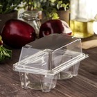 Контейнер одноразовый с неразъёмной крышкой ПР-ПК62С2, 2 секции, пластик, 18.8×13.8 см, прозрачный - Фото 1