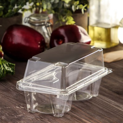 Контейнер одноразовый с неразъёмной крышкой ПР-ПК62С2, 2 секции, пластик, 18.8×13.8 см, прозрачный
