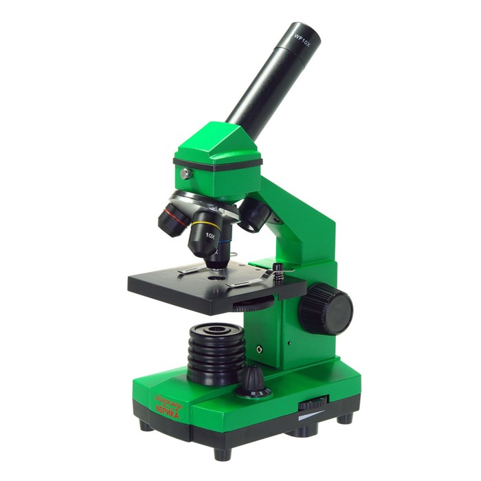Микроскоп школьный Эврика 40х-400х в кейсе, цвет лайм - фото 1908453508