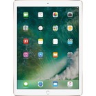 Планшет Apple iPad Pro (MP6J2RU/A), 12.9", 256 Гб,  Wi-Fi, цвет золотистый - Фото 1