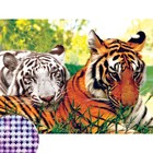 Алмазная мозаика с частичным заполнением на подрамнике «Тигры», 30 х 40 см. Набор для творчества - фото 321265541