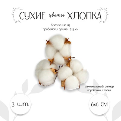 Декор для творчества «Сухие цветы хлопка» на проволоке, 3 шт.