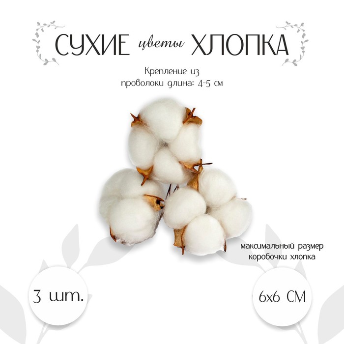 Декор для творчества «Сухие цветы хлопка» на проволоке, 3 шт. - Фото 1