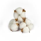 Декор для творчества «Сухие цветы хлопка» на проволоке, 3 шт. - Фото 2