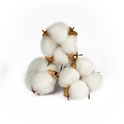 Декор для творчества «Сухие цветы хлопка» на проволоке, 3 шт.