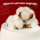 Декор для творчества «Сухие цветы хлопка» на проволоке, 3 шт. - Фото 3