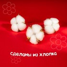Декор для творчества «Сухие цветы хлопка» на проволоке, 3 шт. - Фото 5
