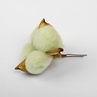 Сухие цветы хлопка, набор 3 шт., размер 1 шт. 6 × 6 см, цвет зелёный - Фото 2