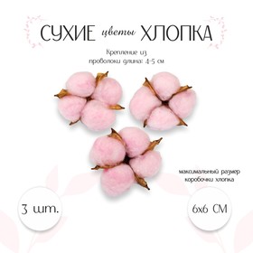 Сухие цветы хлопка, набор 3 шт., размер 1 шт. 6 × 6 см, цвет розовый Ош