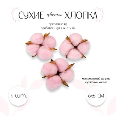Сухие цветы хлопка, набор 3 шт., размер 1 шт. 6×6 см, розовые